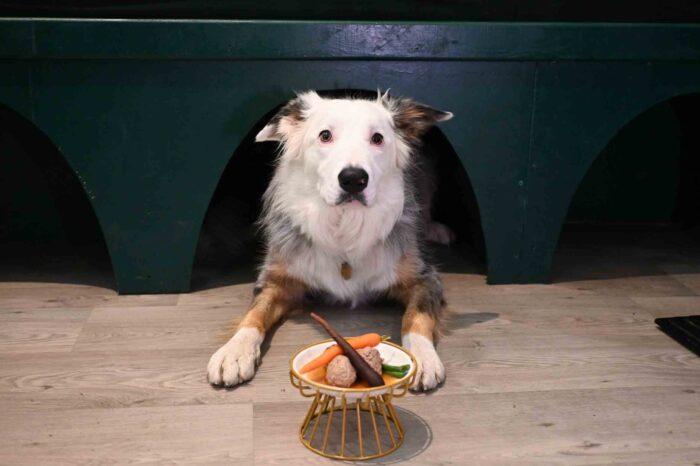 Popular Dog-Friendly Café launches exclusive "Supper Club" with support from the Investment Fund for Scotland