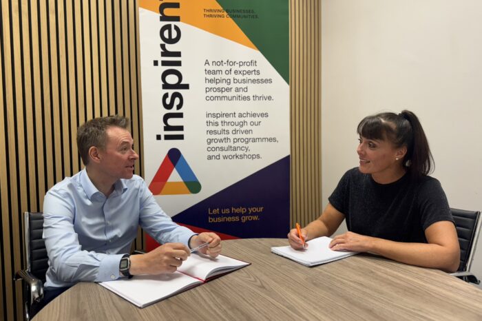 Inspirent launches into private sector with business audits